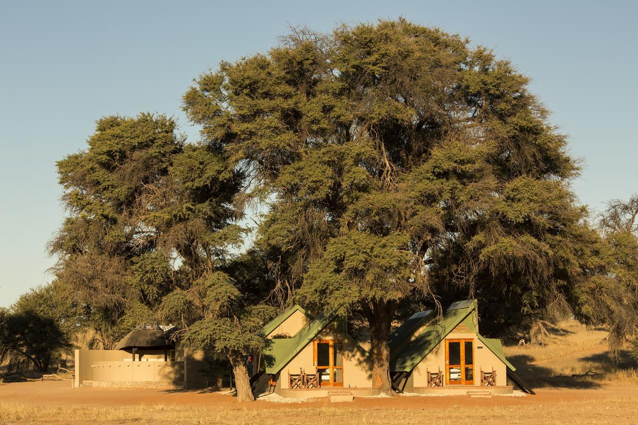 Kalahari Game Lodge Koes Room photo